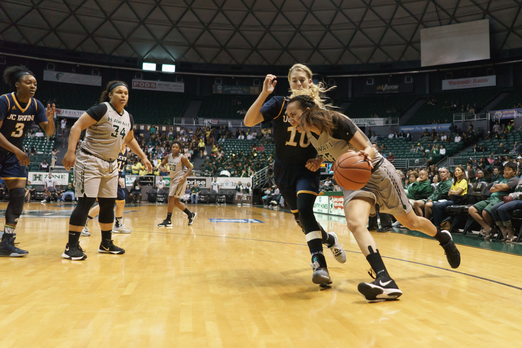 Rainbow Wahine